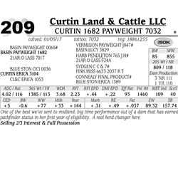 Lot - 209 - Curtin 1682 Payweight 7032