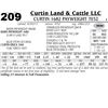 Image 1 : Lot - 209 - Curtin 1682 Payweight 7032
