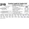 Image 1 : Lot - 210 - Curtin Stud 7037