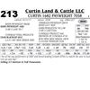 Image 1 : Lot - 213 - Curtin 1682 Payweight 7058