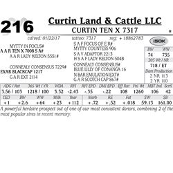 Lot - 216 - Curtin Ten X 7317