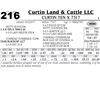 Image 1 : Lot - 216 - Curtin Ten X 7317