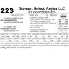Image 1 : Lot - 223 - S S Innovation E96