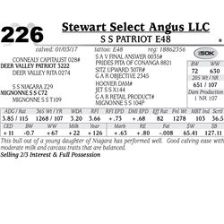 Lot - 226 - S S Patriot E48