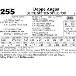Lot - 255 - Deppe GFF Ten Speed 739