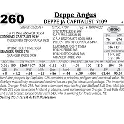 Lot - 260 - Deppe JA Capitalist 7109