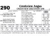 Image 1 : Lot - 290 - CreekView Discovery 698