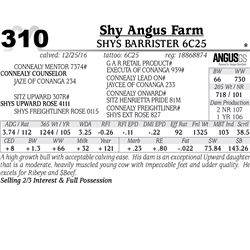 Lot - 310 - Shys Barrister 6C25