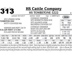 Lot - 313 - HS Tombstone 5222