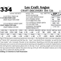 Lot - 334 - Craft Discovery 184-726