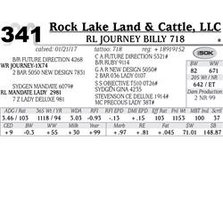 Lot - 341 - RL Journey Billy 718