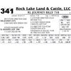Image 1 : Lot - 341 - RL Journey Billy 718