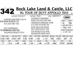 Lot - 342 - RL Tour of Duty Appollo 7045