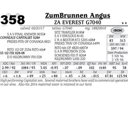Lot - 358 - ZA Everest G7040