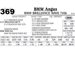 Lot - 369 - BMW Brilliance Wave 7106
