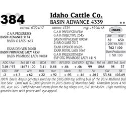 Lot - 384 - Basin Advance 4339