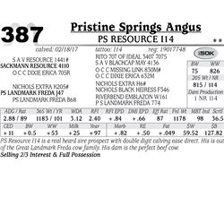 Lot - 387 - PS Resource I14