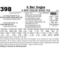 Lot - 398 - A Bar Tailor Made 762