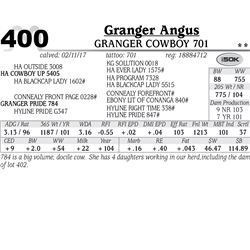 Lot - 400 - Granger Cowboy 701