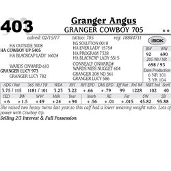 Lot - 403 - Granger Cowboy 705