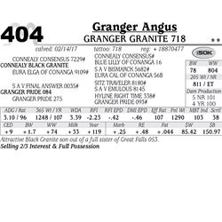 Lot - 404 - Granger Granite 718