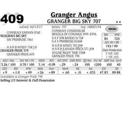 Lot - 409 - gRANGER Big Sky 707