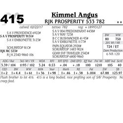 Lot - 415 - RJK Prosperity 533 782