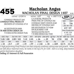 Lot - 455 - Macholan Final Design 1407