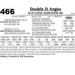 Lot - 466 - D-D Lone Survivor 89