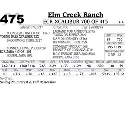 Lot - 475 - ECR Xcalibur 700 of 413