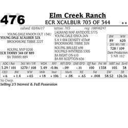 Lot - 476 - ECR Xcalbur 703 of 344