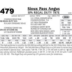 Lot - 479 - 44 Regal Duty 787E