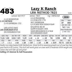 Lot - 483 - LRK Method 7825