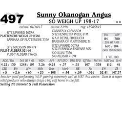 Lot - 497 - SO Weigh Up 198-17