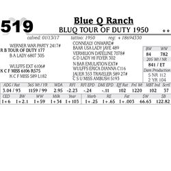 Lot - 519 - BluQ Tour Of Duty 1950