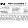 Image 1 : Lot - 532 - GSAR 5027 Payweight 03G