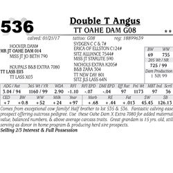 Lot - 536 - TT Oahe Dam G08