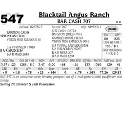 Lot - 547 - BAR Cash 707