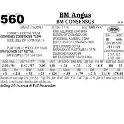 Lot - 560 - BM Consensus