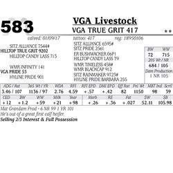 Lot - 583 - Vga True Grit 417