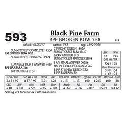 Lot - 593 - BPF Broken Bow 758