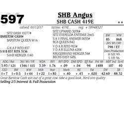 Lot - 597 - SHB Cash 419E