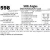Image 1 : Lot - 598 - SHB Pendelton 422E