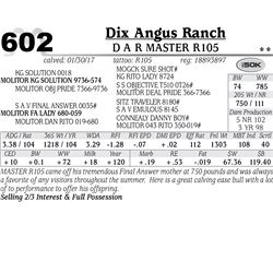 Lot - 602 - D A R Master R105