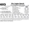 Image 1 : Lot - 603 - D A R Resolution R106