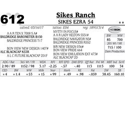 Lot - 612 - Sikes Ezra 54