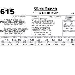Lot - 615 - Sikes Echo 2312