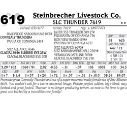 Lot - 619 - SLC Thunder 7619