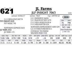 Lot - 621 - JLF Insight 7063