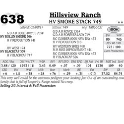 Lot - 638 - HV Smoke Stack 749